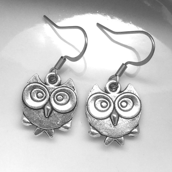 Miniature short big eyes Short cute Bird Owl Hypoallergenic Ear Hooks Earrings - Picture 1 of 2